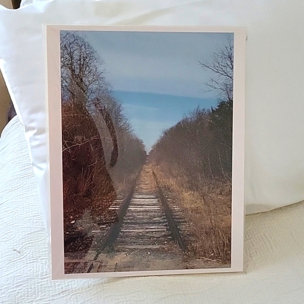 Abandon Railroad Tracks Photograph by Jill Gustafson